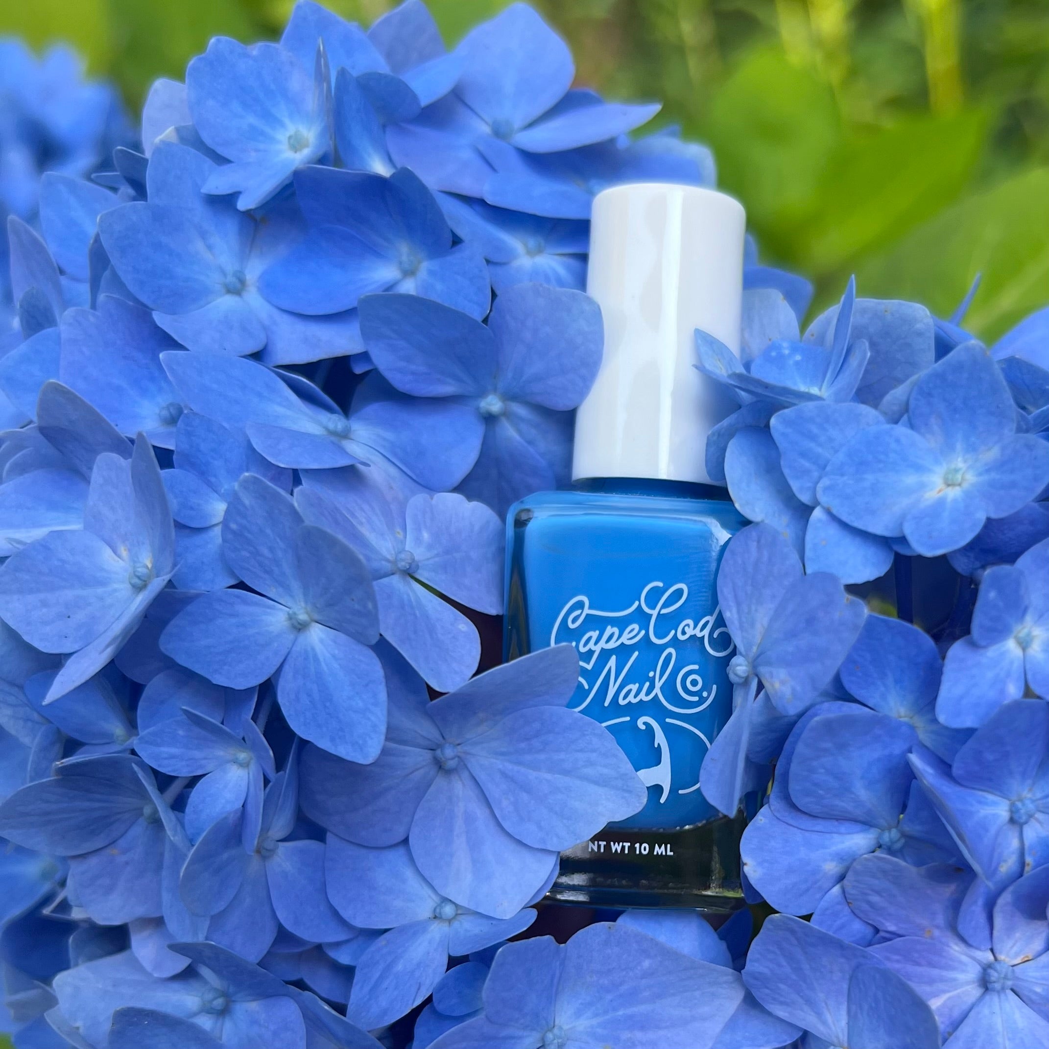 Hello Hydrangea | Cape Cod Nail Co.